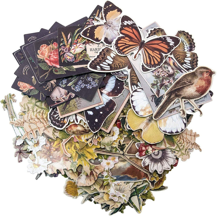 Tim Holtz Idea-Ology Layers-Botanicals 83 Pieces, 3 Rolls Dual-Adhesive Foam Mount Tape, 45 Wooden Finishing Accents, Collage Materials Kit, 131 Pieces Total