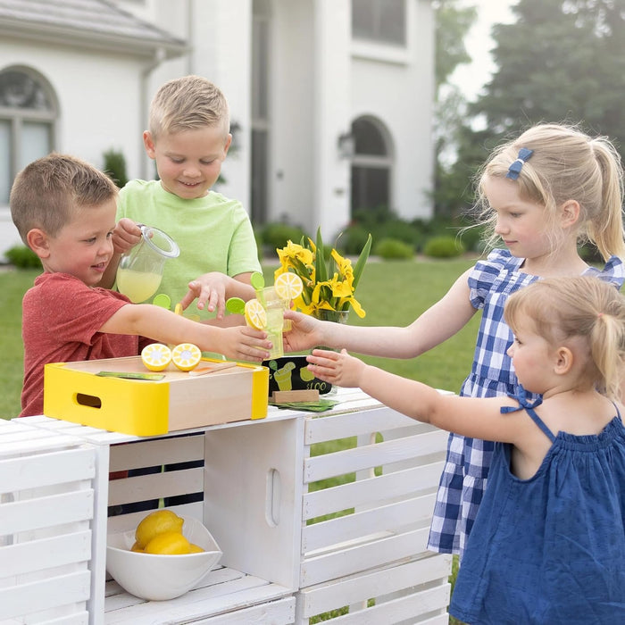 Fat Brain Toys Pretendables Lemonade Time Set - Pretend Playset with Storage, 3+